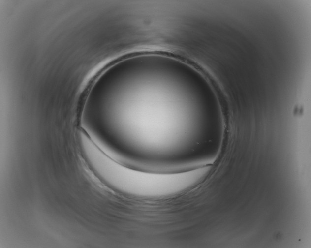 X0000112811460200908281455