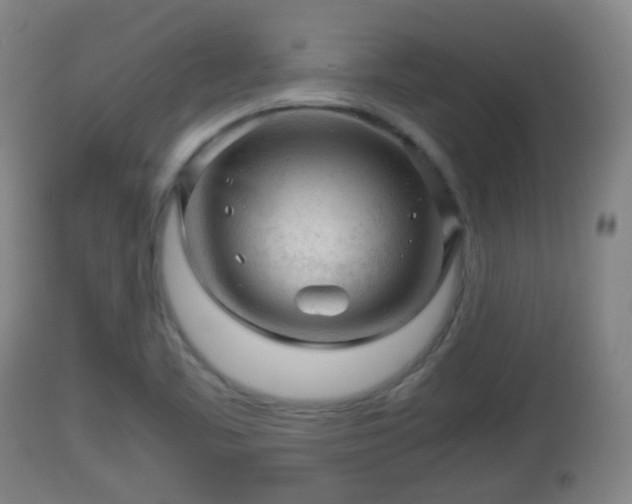 X0000112811461200908281455