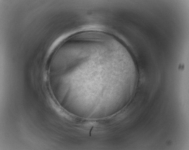 X0000112811462200908281455