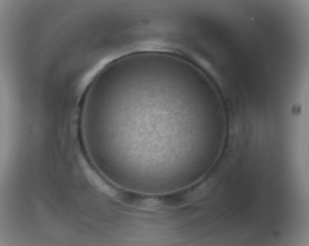 X0000112811463200908281455