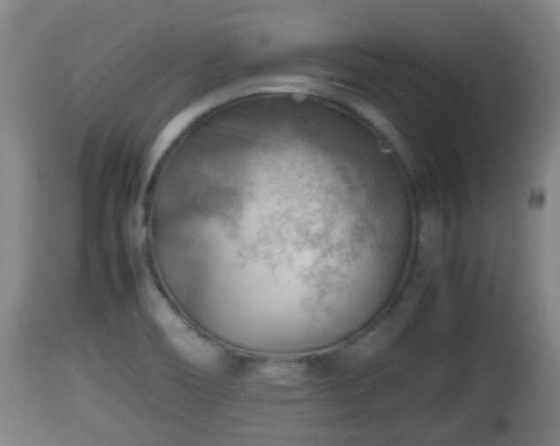 X0000112811466200908281455