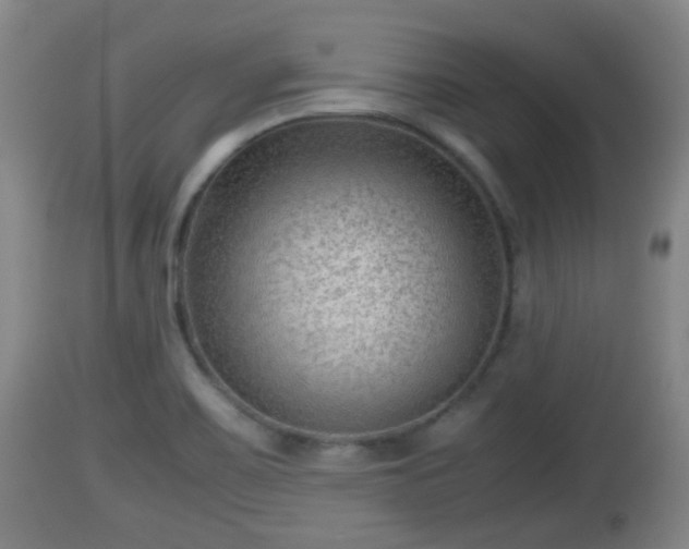 X0000112811467200908281455