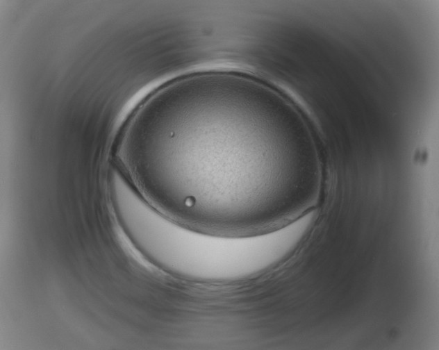 X0000112811468200908281455