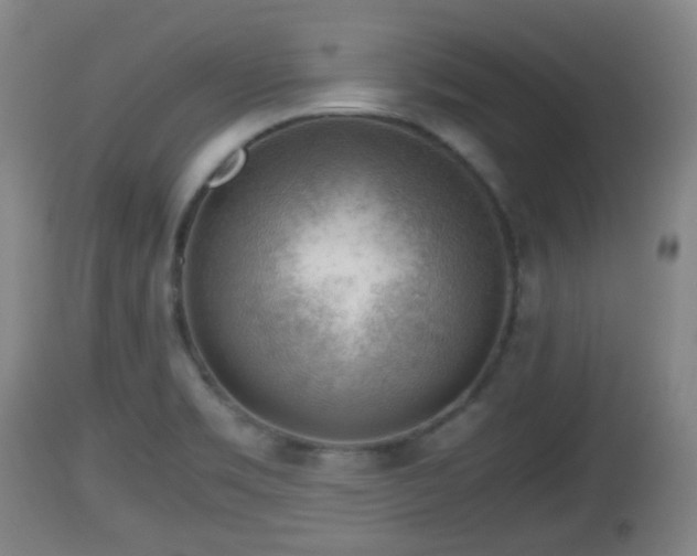 X0000112811469200908281455