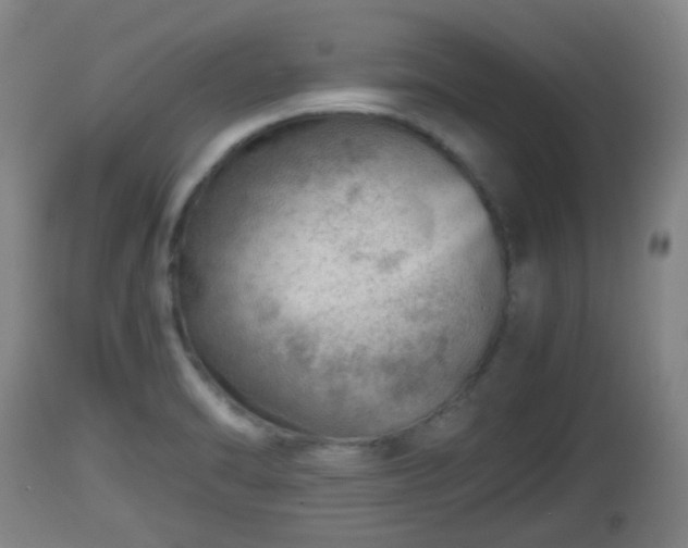 X0000112811470200908281455