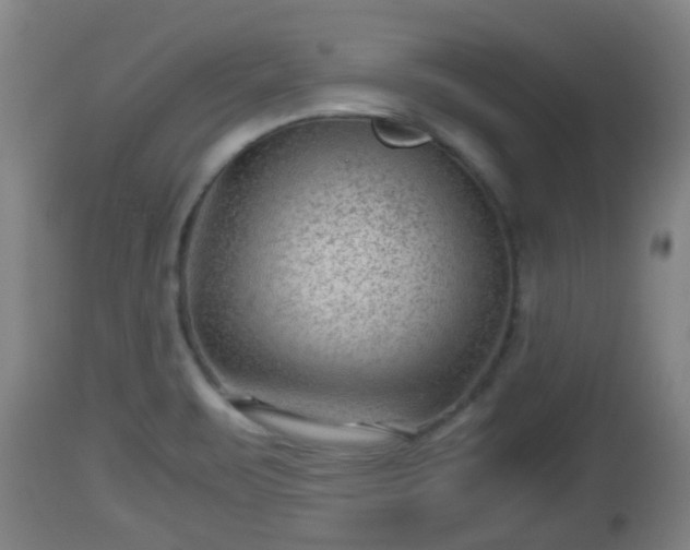 X0000112811471200908281455