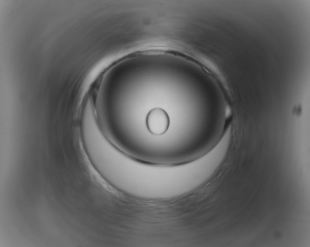 X0000112811472200908281455