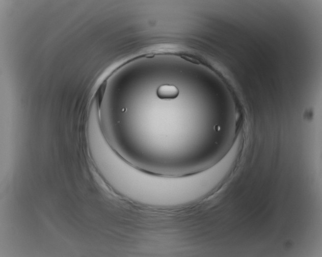 X0000112811473200908281455