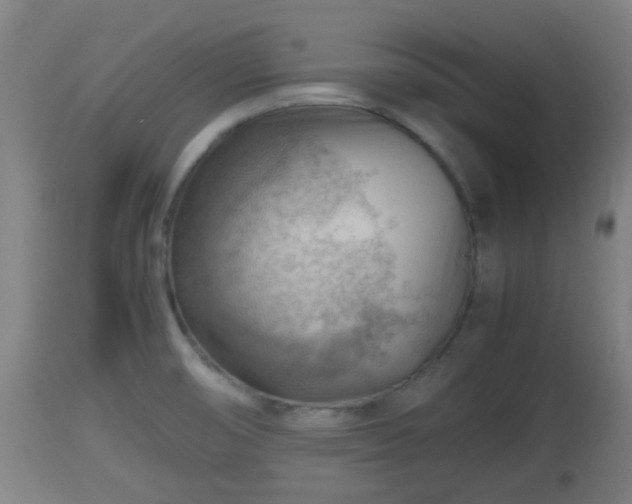 X0000112811474200908281455