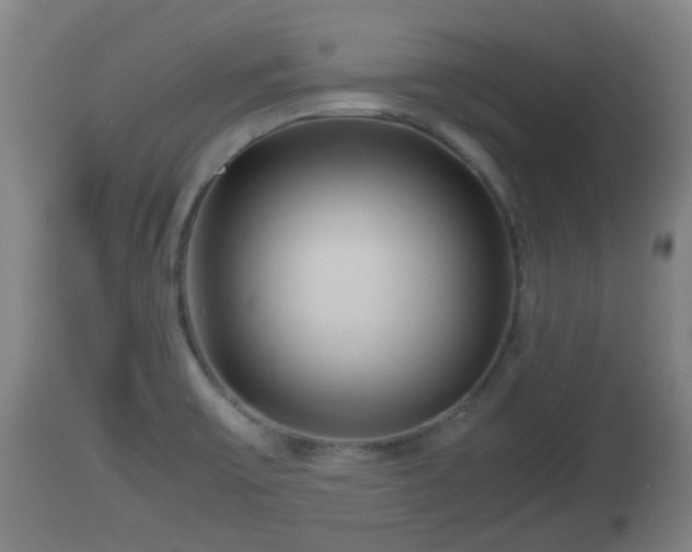X0000112811475200908281455