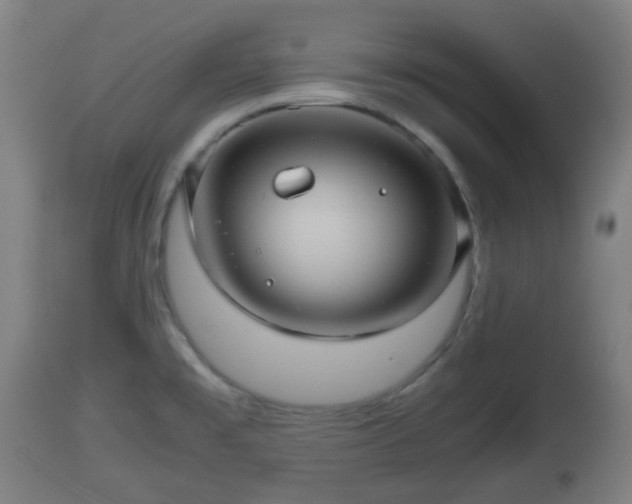 X0000112811477200908281455