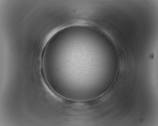 X0000112811479200908281455