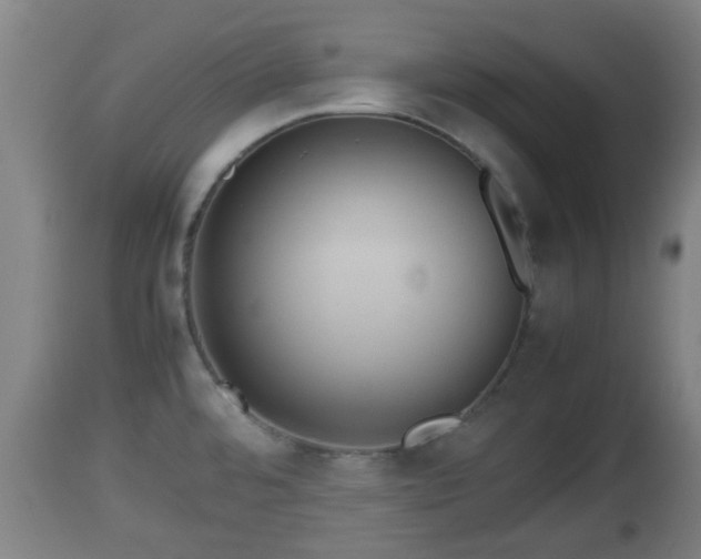 X0000112811480200908281455