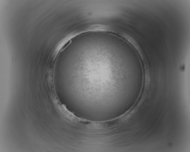 X0000112811481200908281455