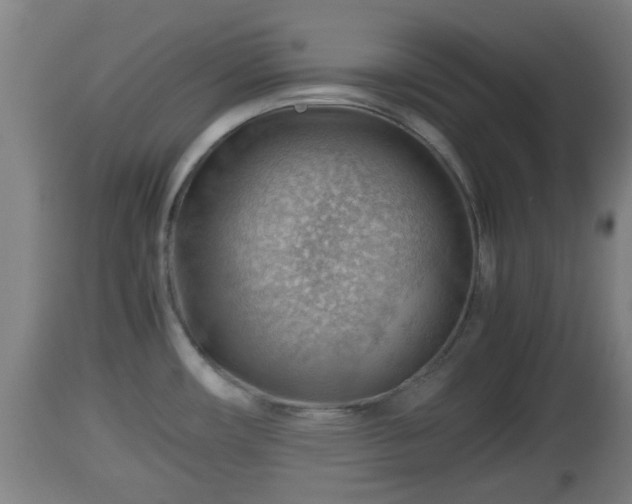 X0000112811482200908281455