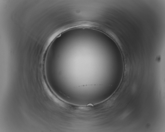 X0000112811483200908281455