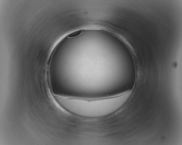 X0000112811484200908281455