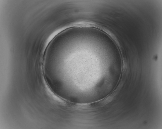 X0000112811486200908281455