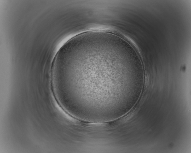 X0000112811487200908281455
