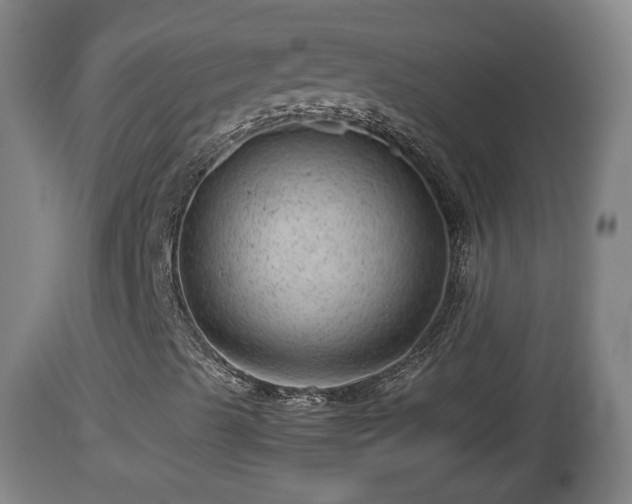 X0000112811489200908281454