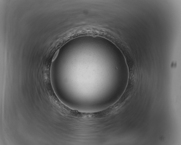 X0000112811490200908281454