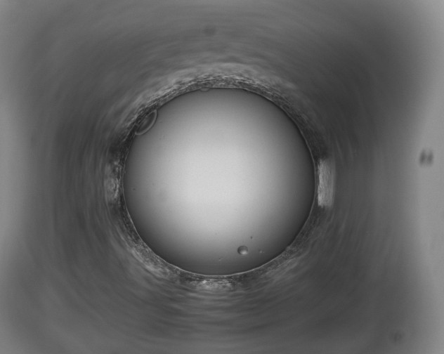X0000112811491200908281454