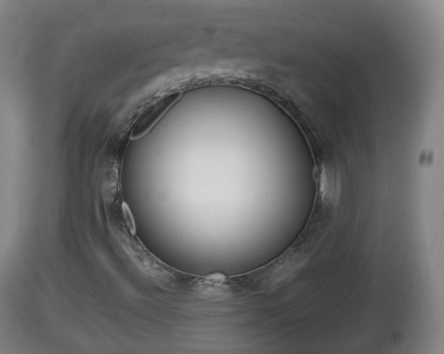 X0000112811492200908281454