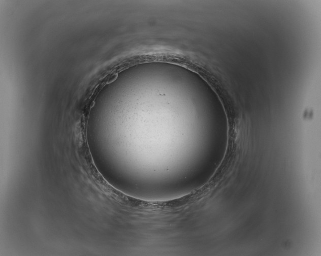 X0000112811493200908281454