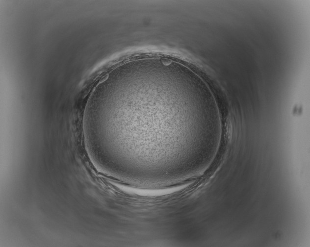 X0000112811494200908281454