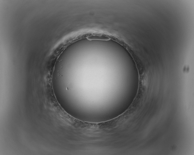 X0000112811495200908281454