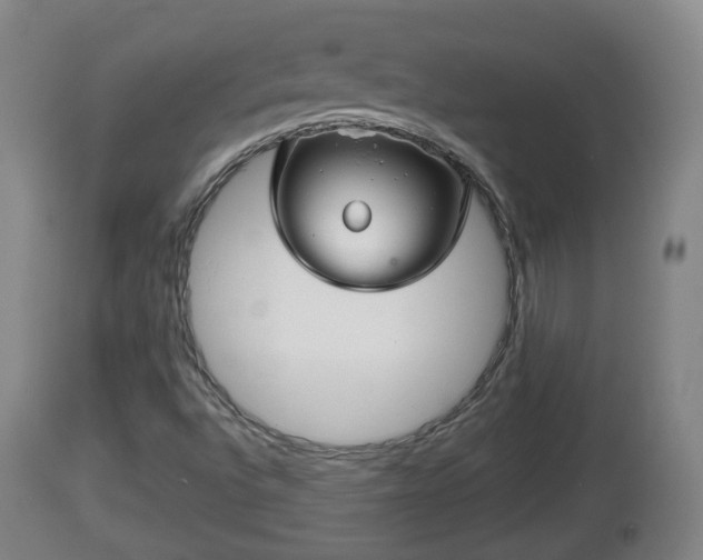 X0000112811496200908281454