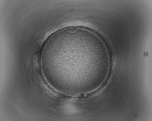 X0000112811497200908281454