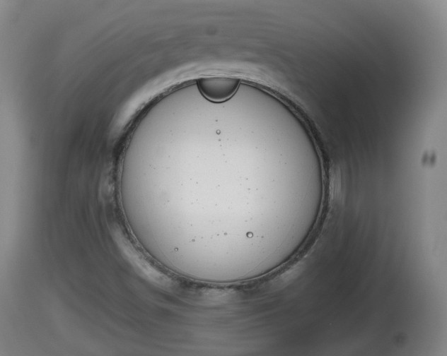 X0000112811498200908281454