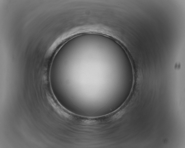 X0000112811499200908281454