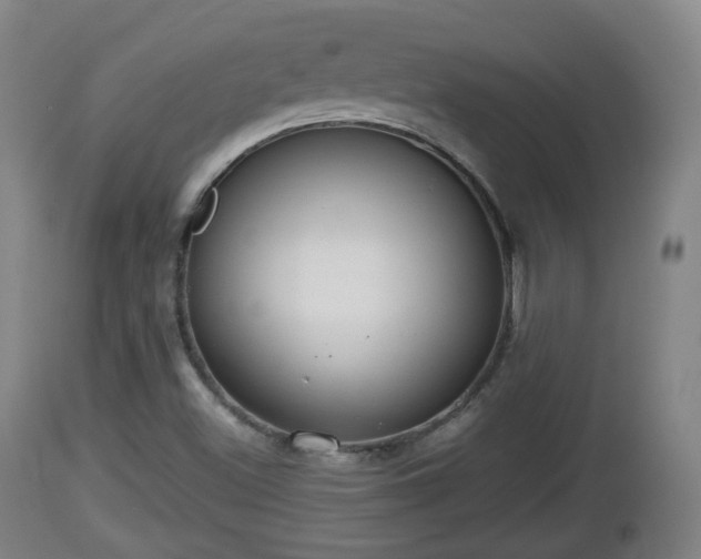 X0000112811500200908281454