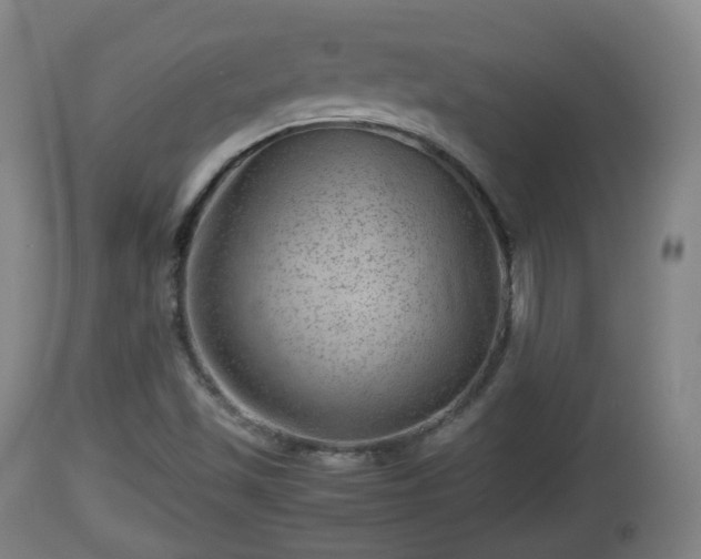 X0000112811501200908281454