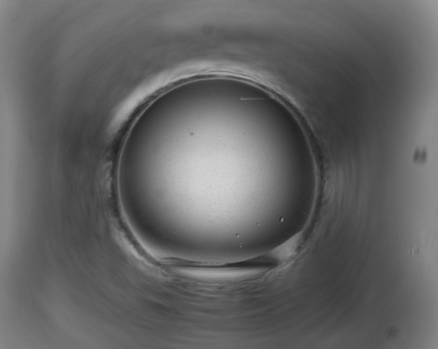 X0000112811503200908281454