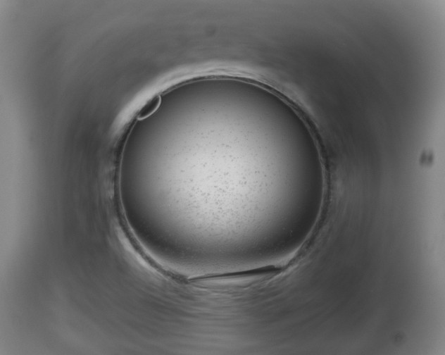 X0000112811504200908281454