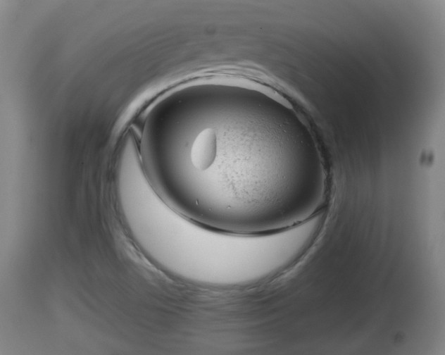 X0000112811506200908281454