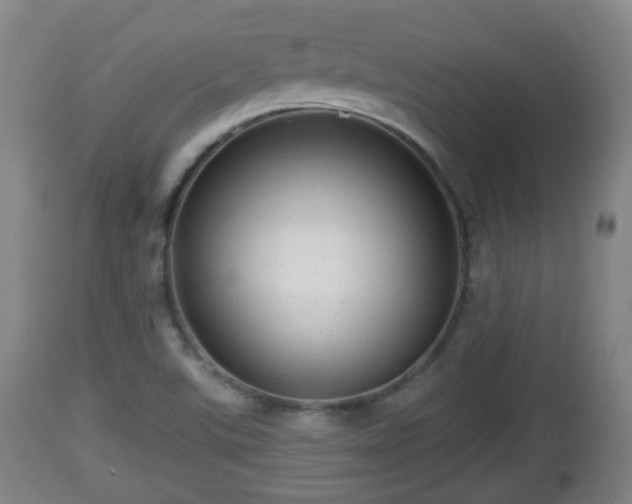 X0000112811507200908281454