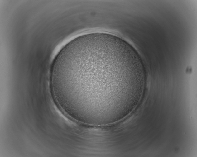 X0000112811508200908281454
