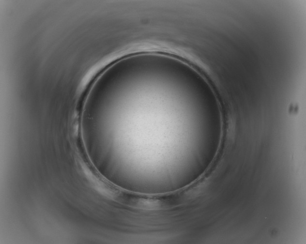 X0000112811509200908281454