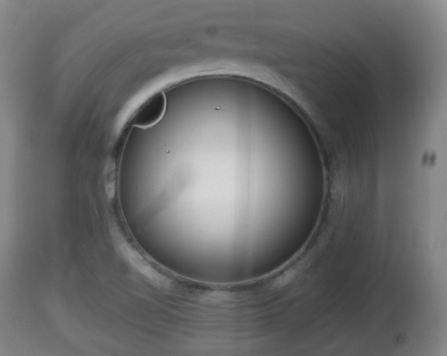 X0000112811510200908281454