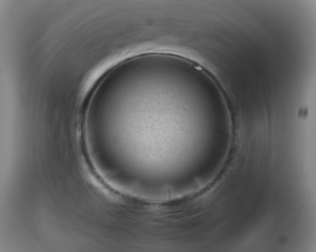 X0000112811511200908281454