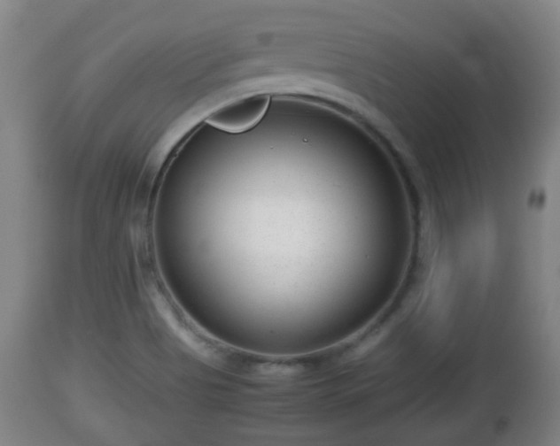 X0000112811513200908281454