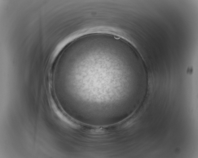 X0000112811515200908281454