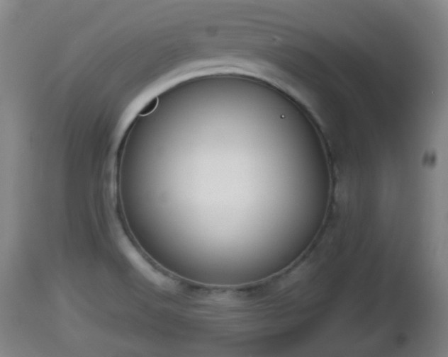 X0000112811516200908281454