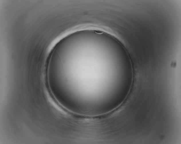 X0000112811518200908281454
