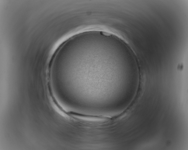 X0000112811519200908281455
