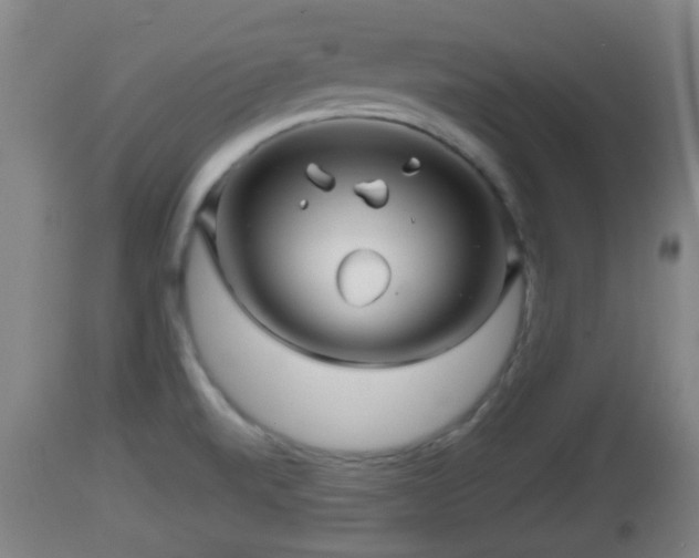 X0000112811520200908281455